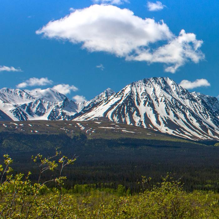 Yukon Mietwagenreise