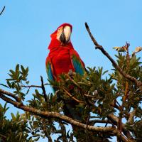 Individuelle Brasilien Reise