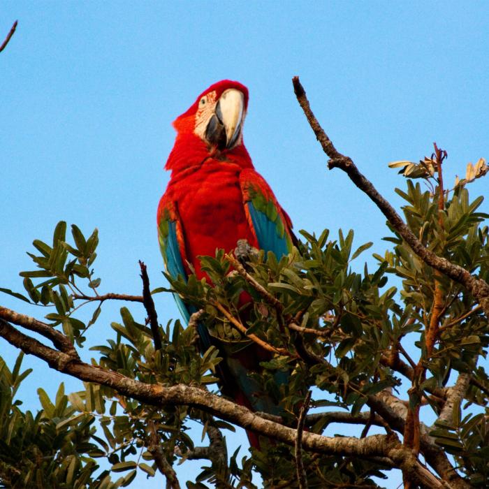Individuelle Brasilien Reise
