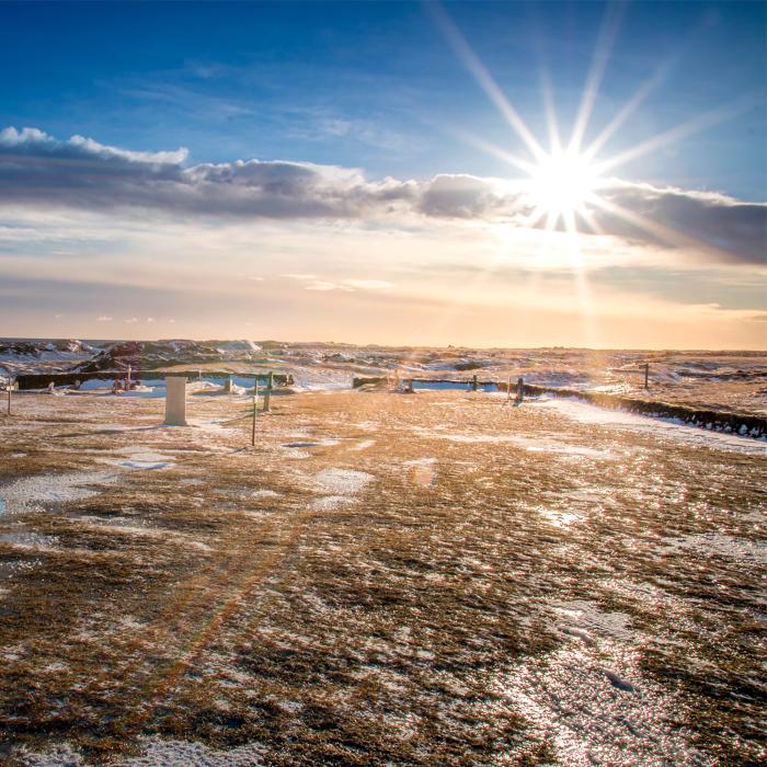 Island im Winter mit dem Mietwagen