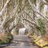 Den Herbst in Irland fotografieren