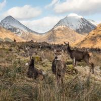 Fotoreise Schottland