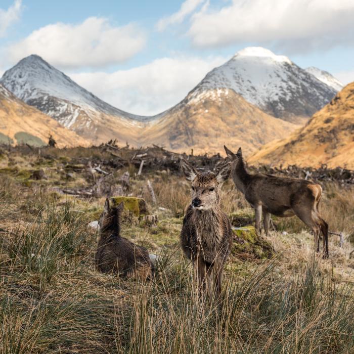 Fotoreise Schottland
