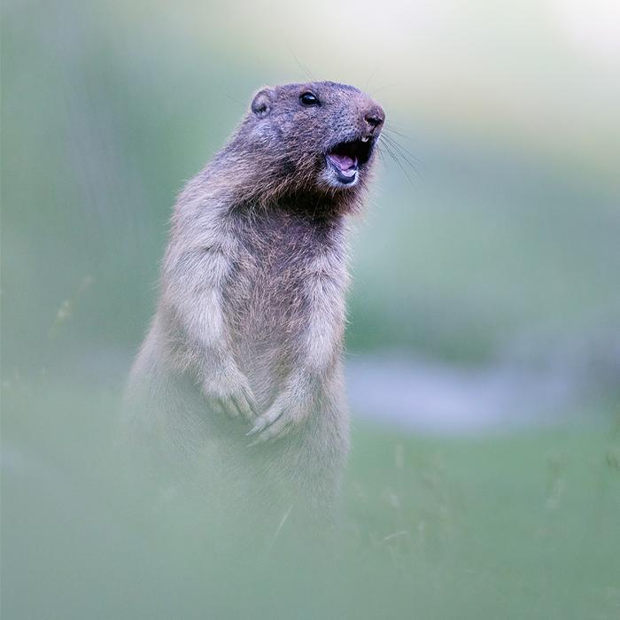 Fotoworkshop Landschaftsfotografie