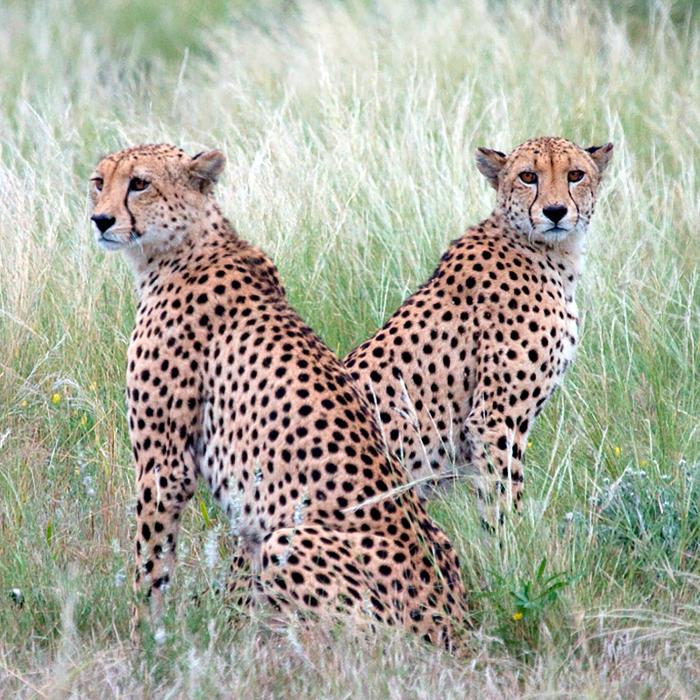 Rundreise Botswana & Simbabwe