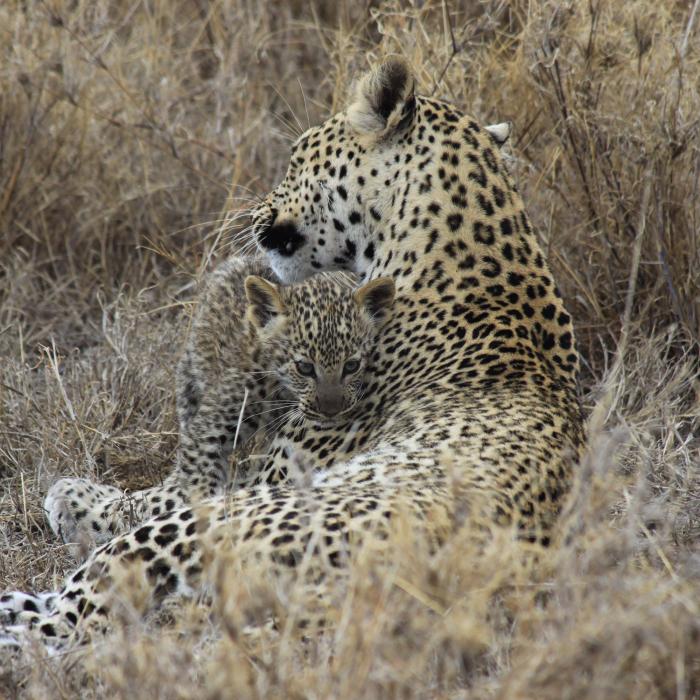 Kenia & Tansania Rundreise