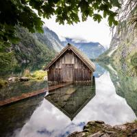 Fokus Naturfotografie Tage