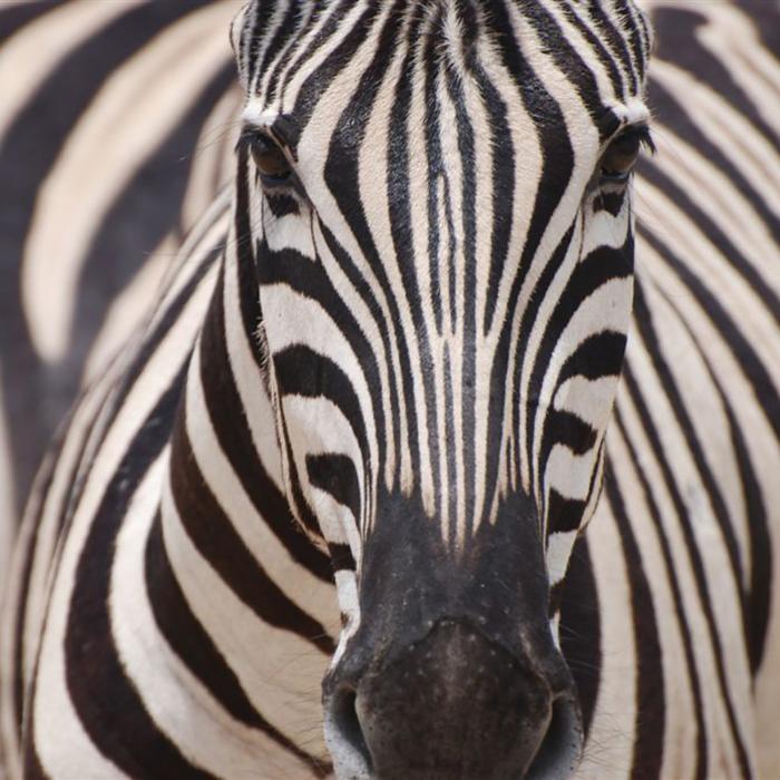 Rundreise Namibia Kleingruppe