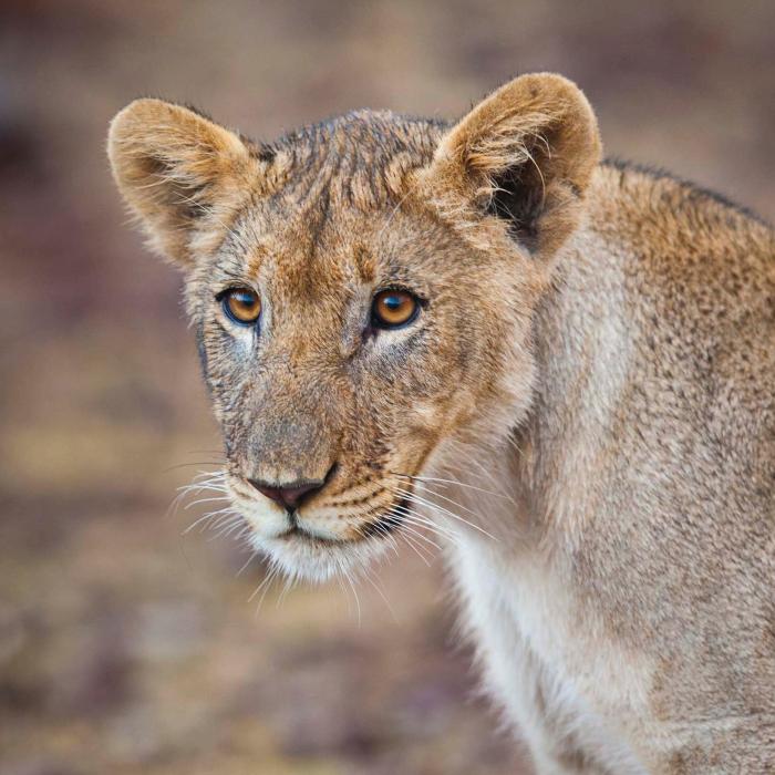 Namibia Kaleidoskop der Kontraste