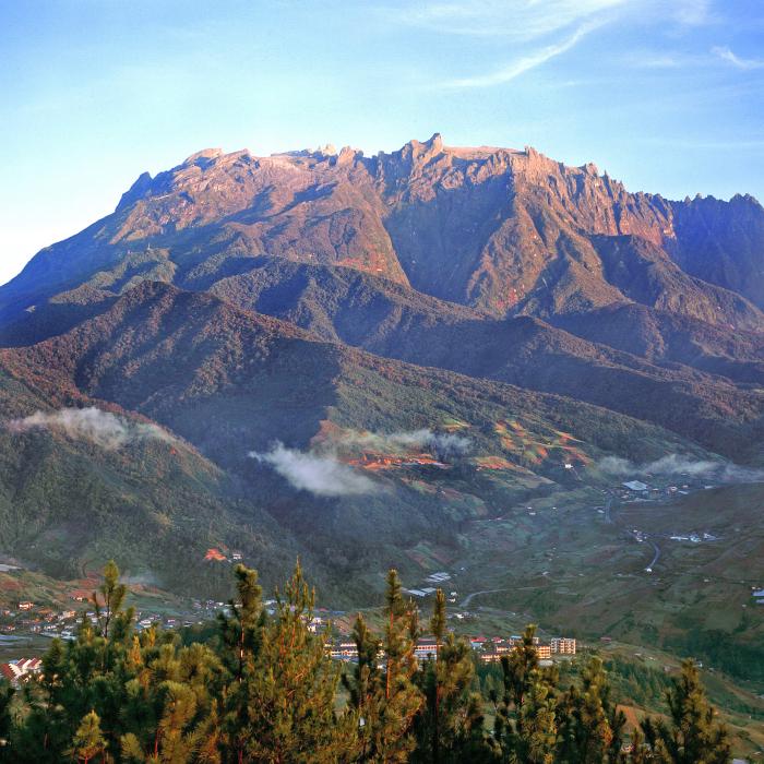 Reise zu den Orang-Utans