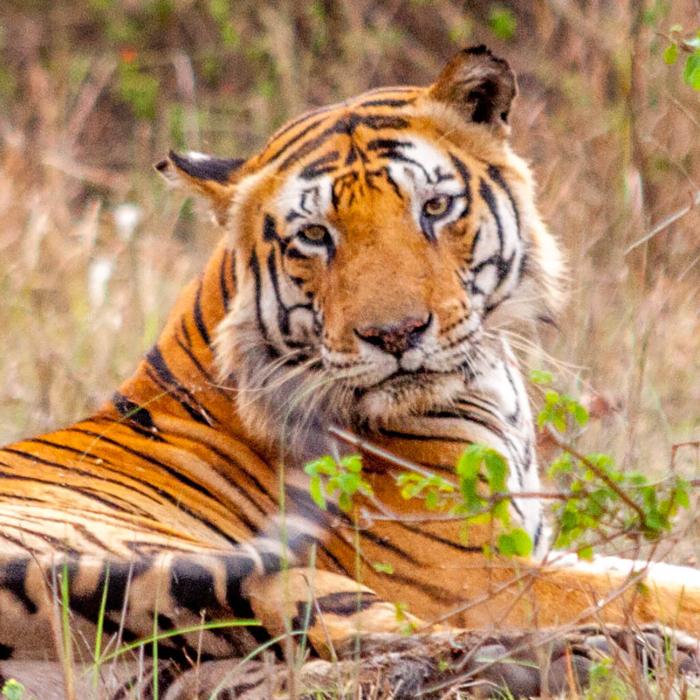 Stellen Sie Ihre Reise selbst zusammen