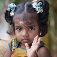 Rundreise zu den Höhepunkten Sri Lankas