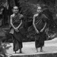 individuelle Sri Lanka Reise